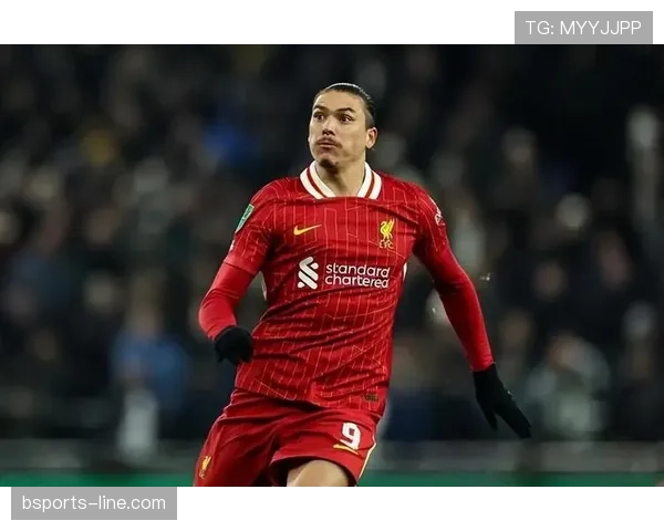 努涅斯 vs 霍伊伦：同代新锐中锋潜力差距在哪